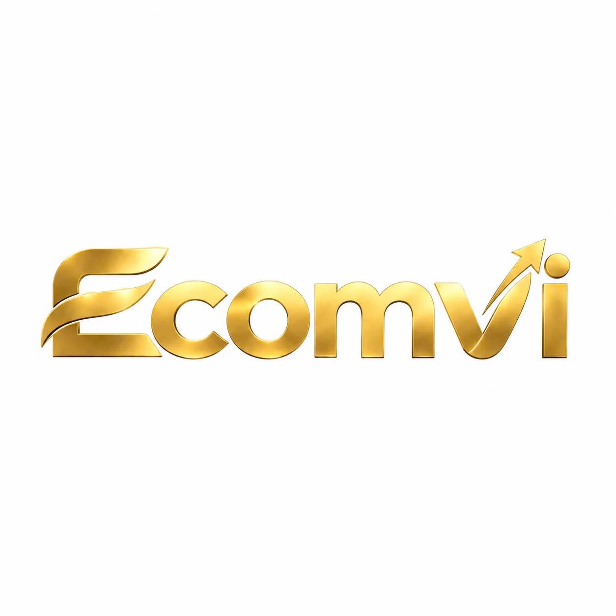 EcomVI
